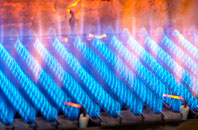 Ansteadbrook gas fired boilers
